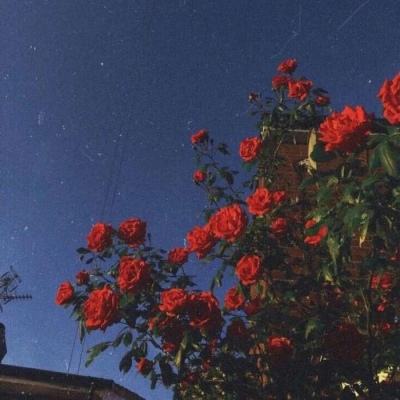 AG九游会下载手机版截图