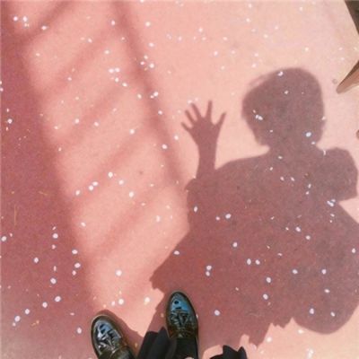 半岛官方入口app